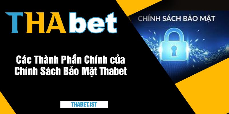 Các Thành Phần Chính của Chính Sách Bảo Mật Thabet