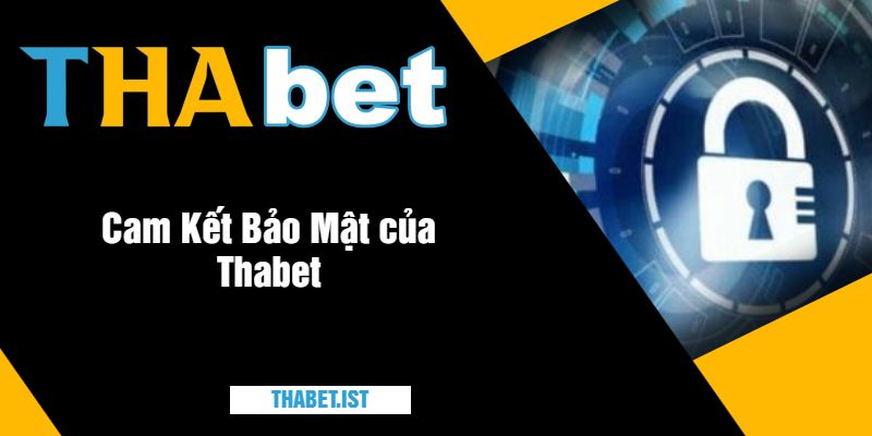 Cam Kết Bảo Mật của Thabet