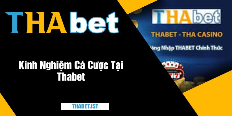 Giới Thiệu Thabet - Kinh Nghiệm Cá Cược